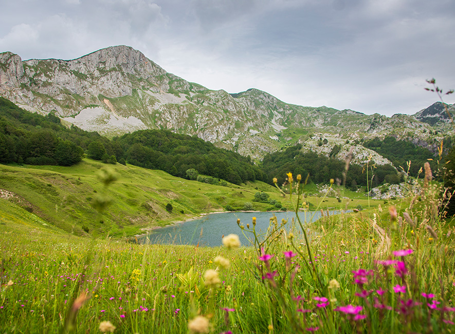 orlovacko jezero zelengora
